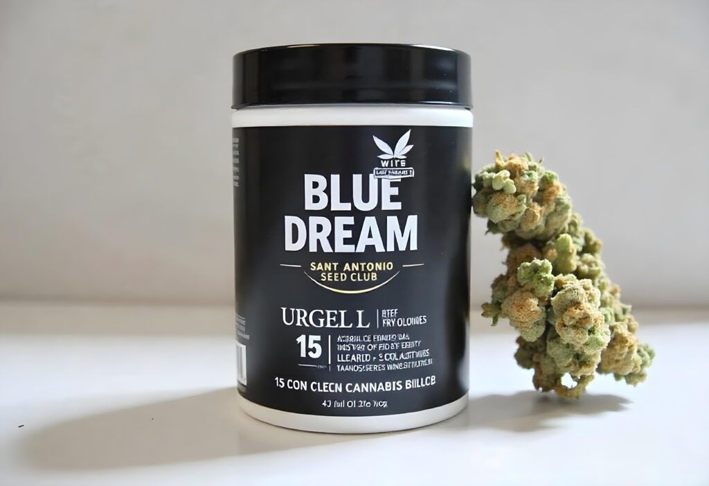 weed club sant antoni urgell 15 blue dream cannabis club